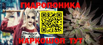 круглые Тара