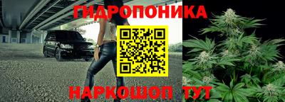 круглые Тара