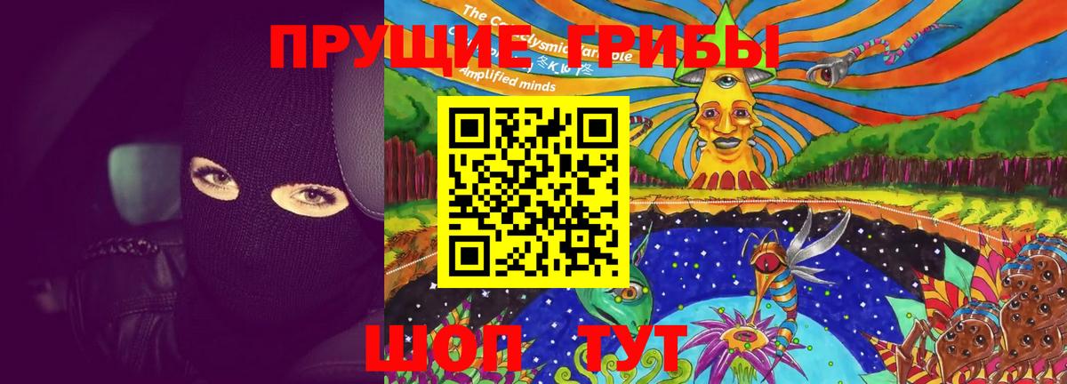Псилоцибиновые грибы ЛСД  Вход с VPN  Псилоцибиновые грибы GOLDEN TEACHER  хочу   Киреевск 